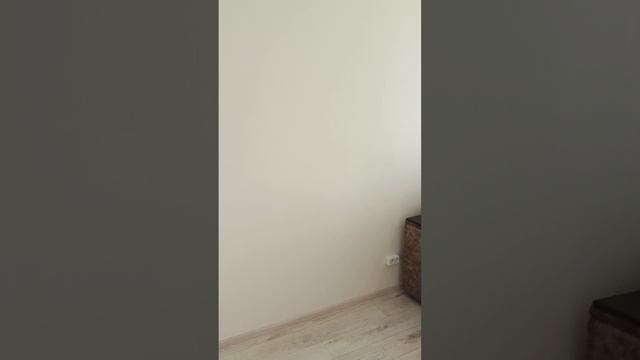1000016773.mp4