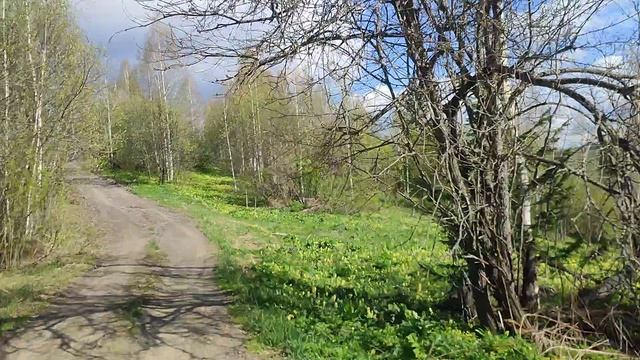 Подъем на фортунере