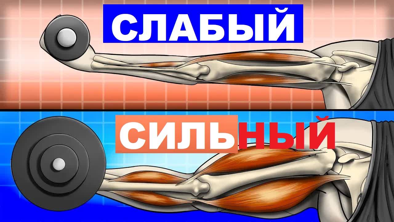 7 причин, по которым Вам следует поднимать ТЯЖЕСТИ