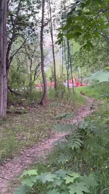 Жители заметили зайчика на перекопанных Крылатских холмах 🐇
