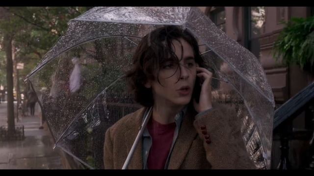 Дождливый день в Нью-Йорке (16+) - смотрите в кинотеатре ?