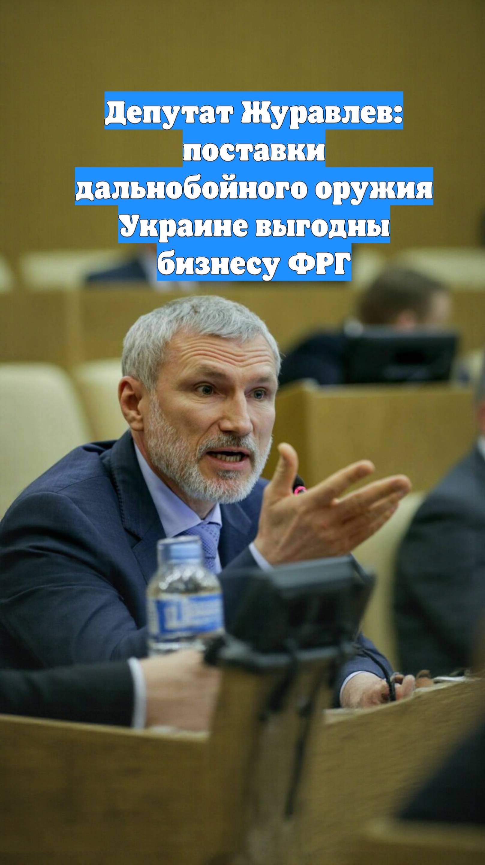 Депутат Журавлев: поставки дальнобойного оружия Украине выгодны бизнесу ФРГ