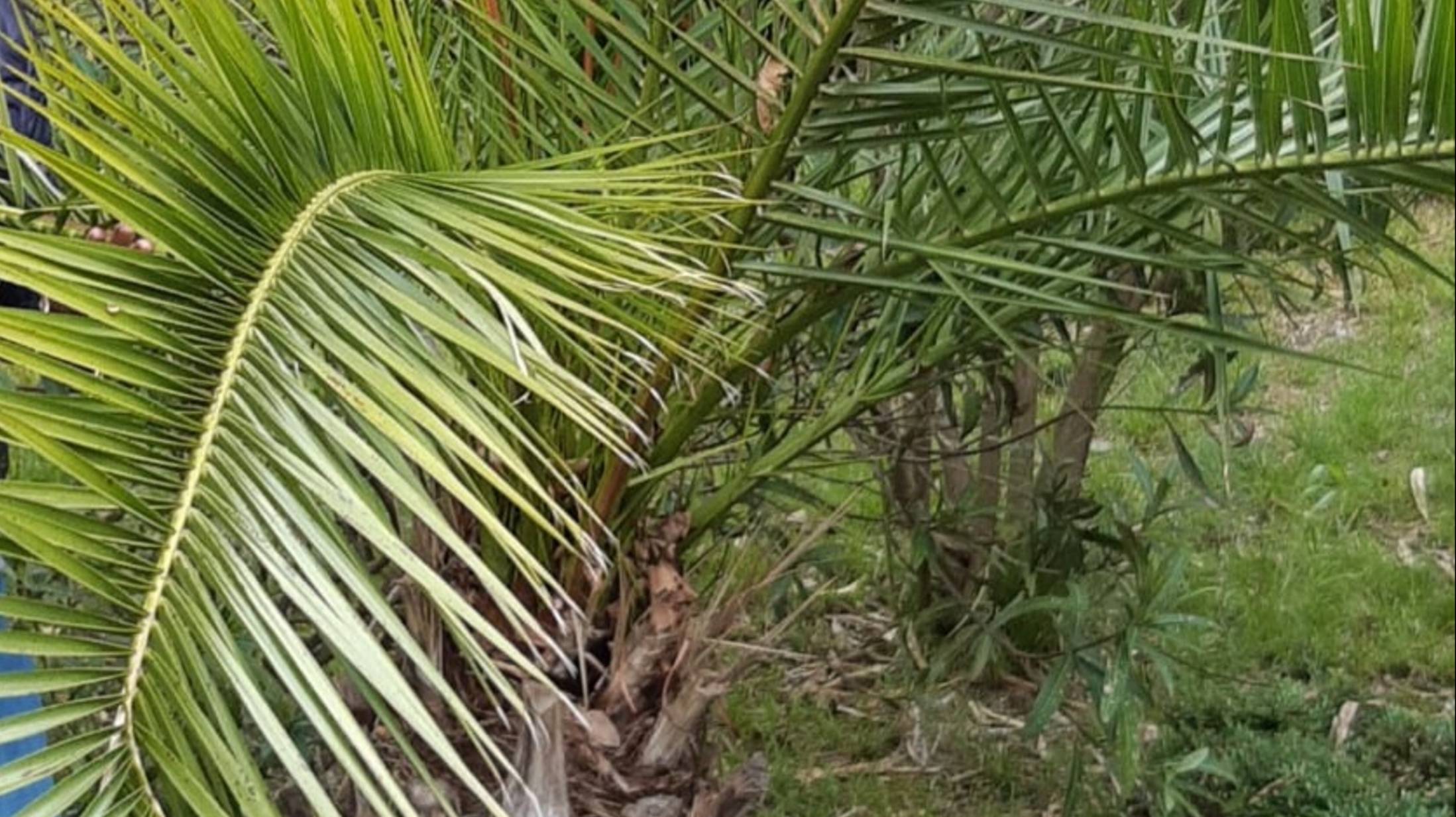 Как перезагрузиться утром