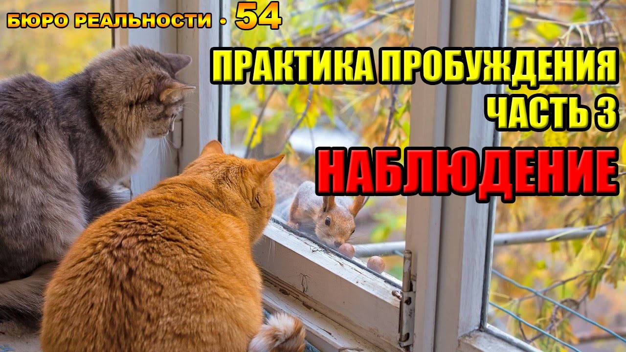 54. Путь к пробуждению. Часть 3. Наблюдение.