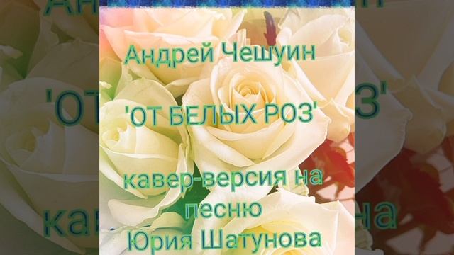 'ОТ БЕЛЫХ РОЗ' (кавер, Андрей Чешуин)