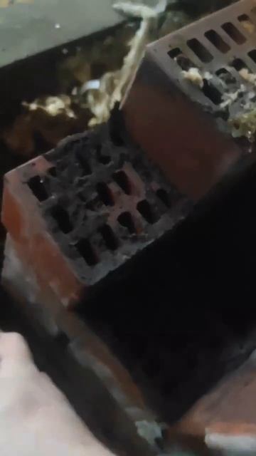 🔥 «Чистка и ремонт дымохода: безопасность и тепло в доме!» 🔥  
#РемонтДымохода #ЧисткаДымохода