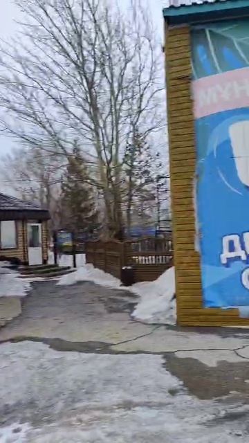 Голубая устрица