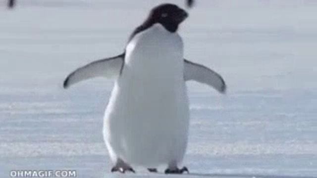 1000018671.mp4