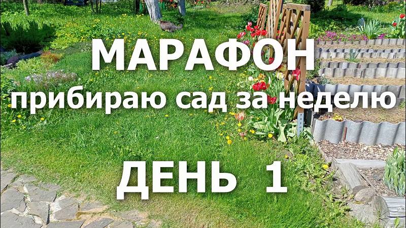 Марафон "Прибираю сад за неделю" День 1