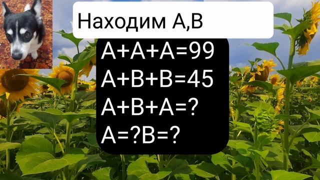 Решите уравнение#математика#решение уравнений#задача