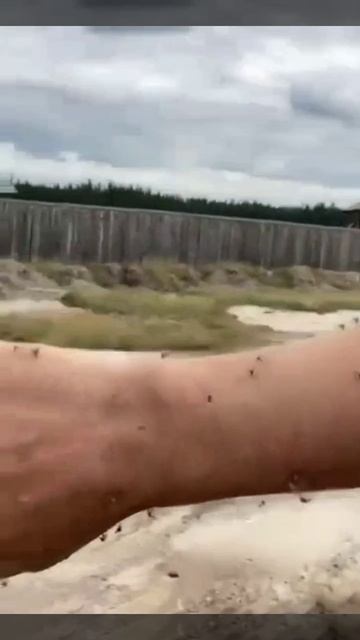 «С ума сойти.. Боже.. И не спастись же!»