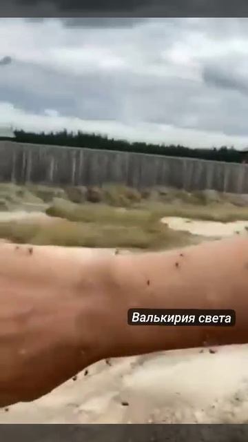 VID_20250526_232921_959.mp4
