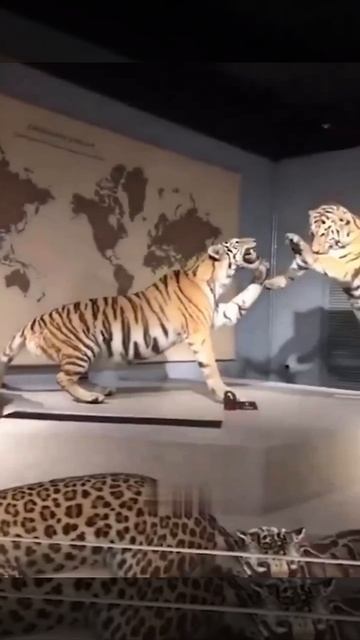 В каждой компании есть такой лев 😄😄😄