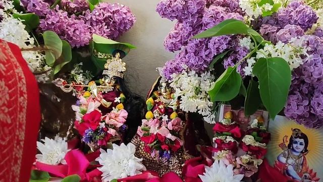 27.05.2025г Сегодня день рождения моего Гурудева - духовного учителя, он живёт в Индии, во Вриндаван