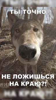 Конфета от 1 до 10