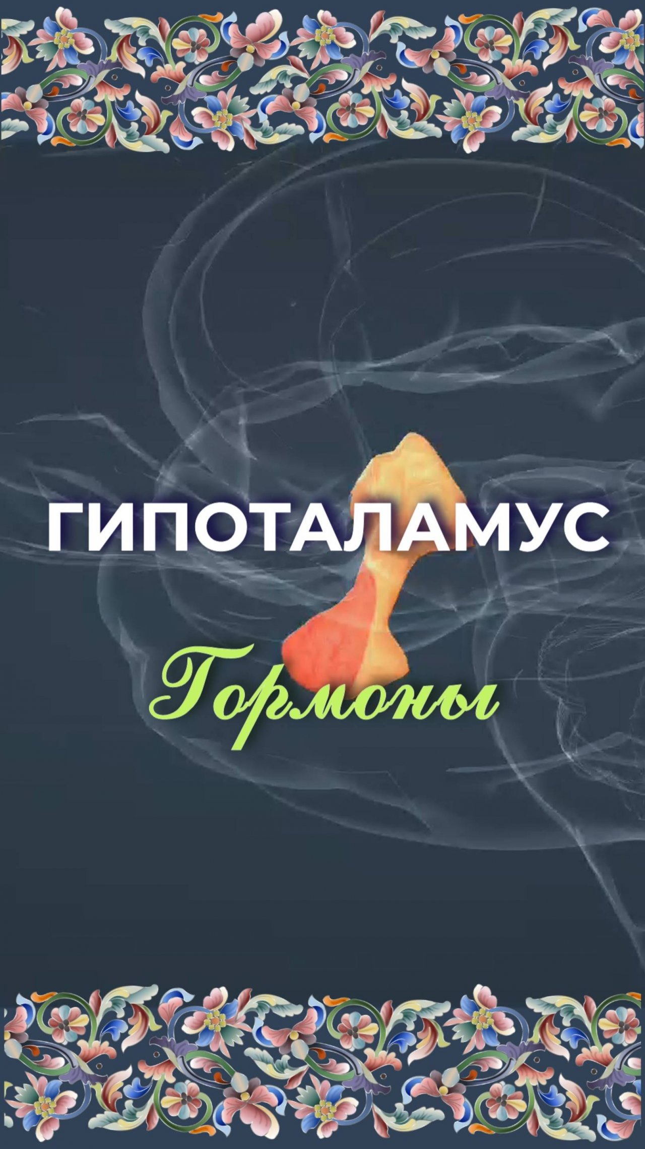 Гипоталамус гормоны - гипофиз