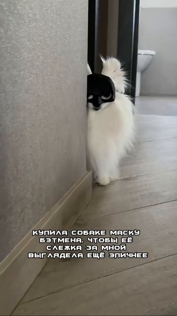 Бэтмен всегда следит за тобой.mp4