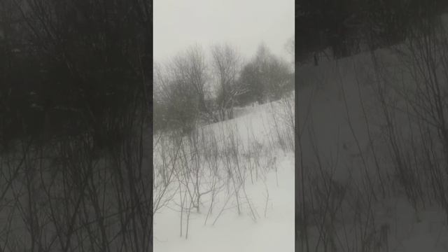 Аз свАбодный  человек!!!