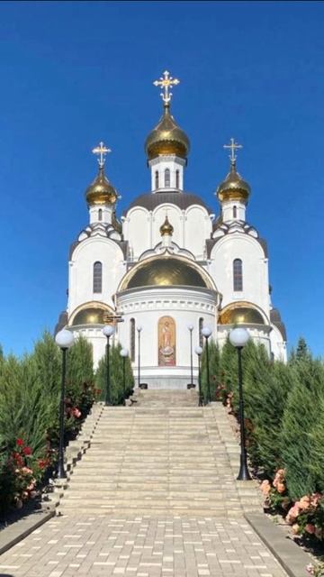 Душевный лекарь#Церковь#shortvideo#shorts#Молитва#Православие