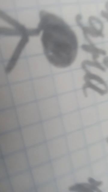 к̠р̠а̠с̠н̠а̠я̠ д̠в̠е̠р̠ь̠ ж̠ё̠л̠т̠а̠я̠ д̠в̠е̠р̠ь̠