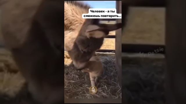 1000002775.mp4