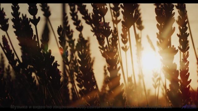 Музыка превращает видео в личный полёт - Welcome To Our Village -- PLANET WARDO -- Single Slices