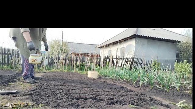 Жизнь в деревне.🏡 Сажаю овощи.