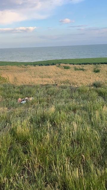Земля 20 Га на берегу моря Таганрог