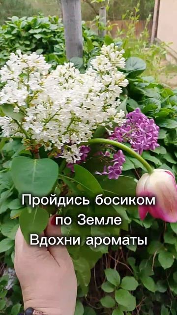 Как гореть, но не выгорать - начните день не с телефона, а с себя