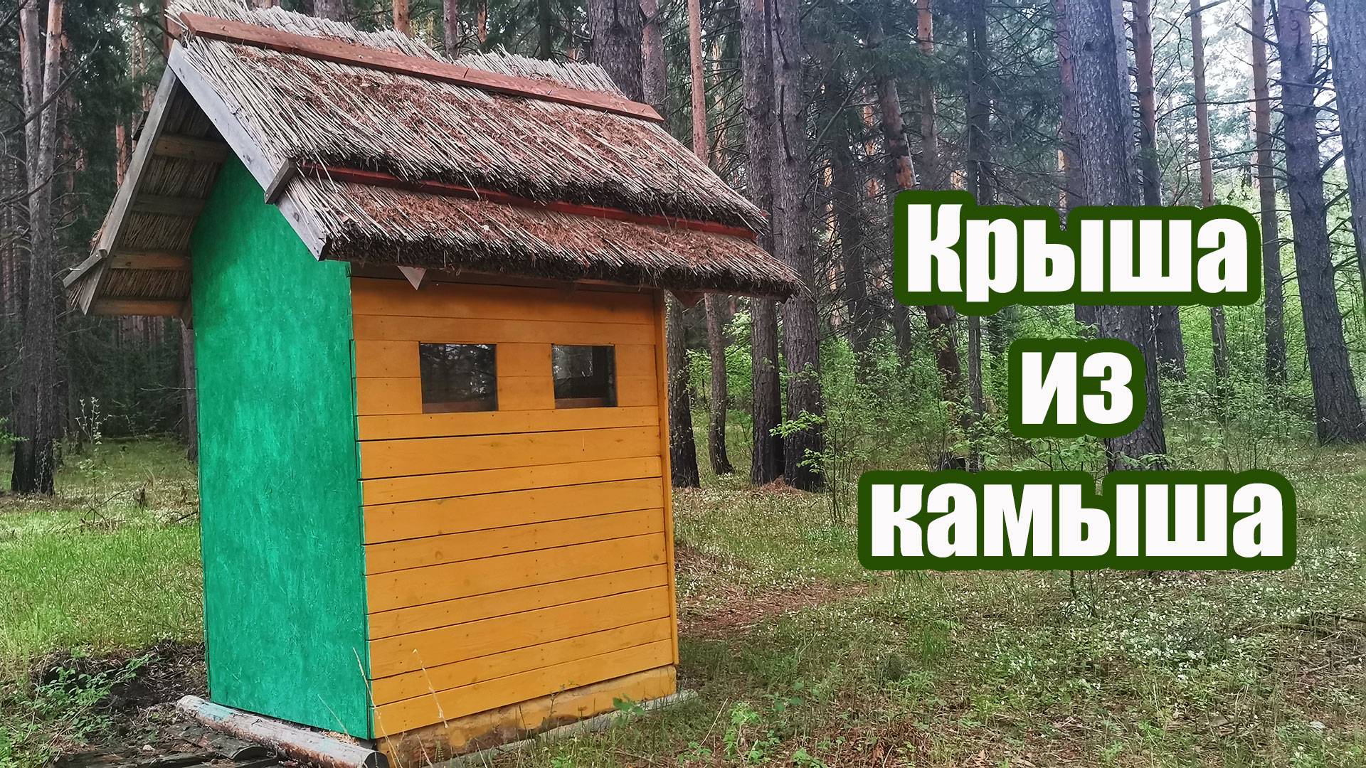 Крыша из камыша через три года