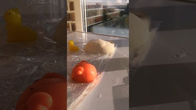 petal_20250527_204659.mp4