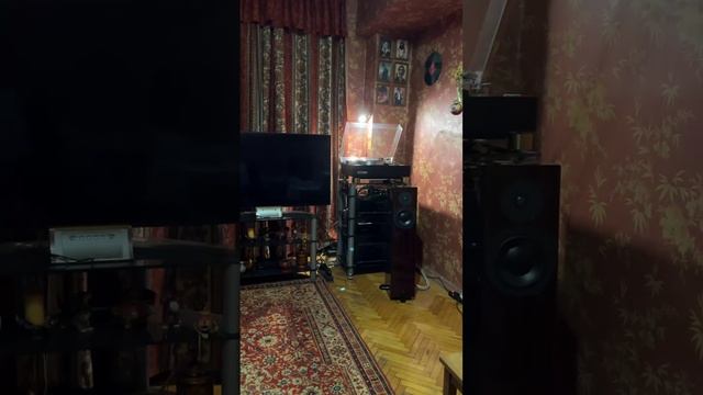 Фонокорректор Сreek 8SE реплика
