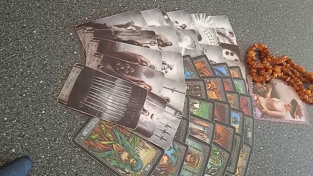 VID_20250527_081308.mp4