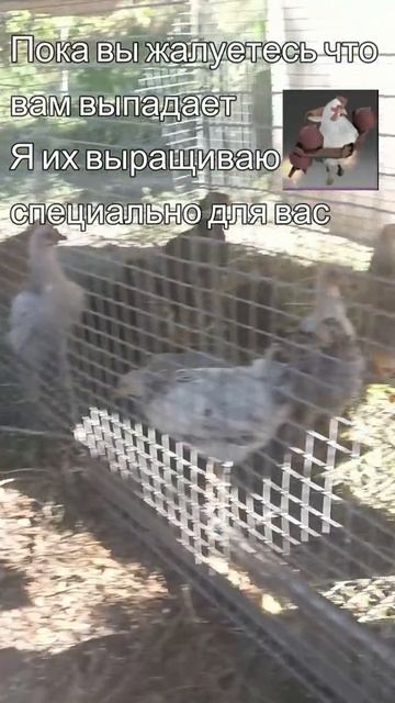 #zadotan #dota #dota2 #дота #дота2
