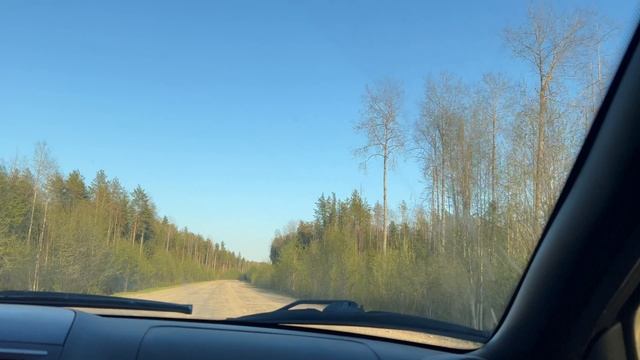 My live. Волшебство дикой природы.