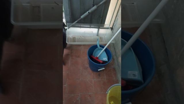 Посвящается клаксу
