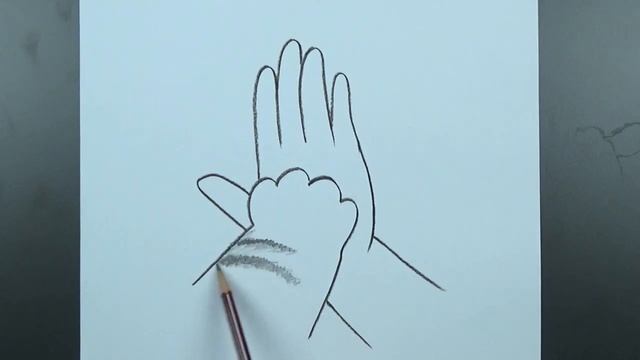 Как нарисовать руку и лапу: простой поэтапный урок + лёгкие идеи для карандашных рисунков