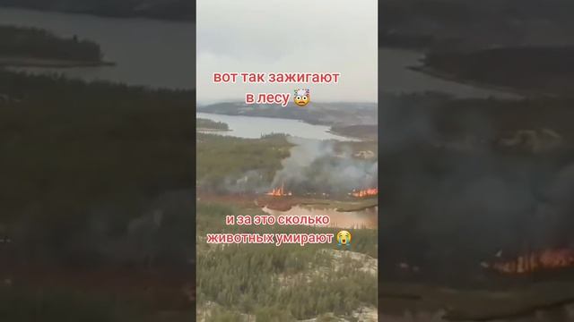 Технологии Била Гейтса, дым закрывает Солце, это припятствует изменению климата