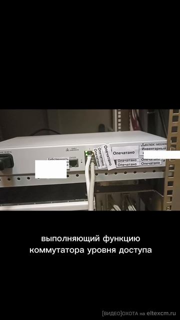 Коммутатор доступа MES2408 Eltex. Видео[Охота] на eltexcm.ru