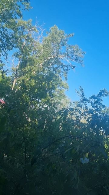 Доброго вторника,нам ,♥️пусть день начнётся с завтрака и умиротворяющим видом из окна♥️
#видзаокном