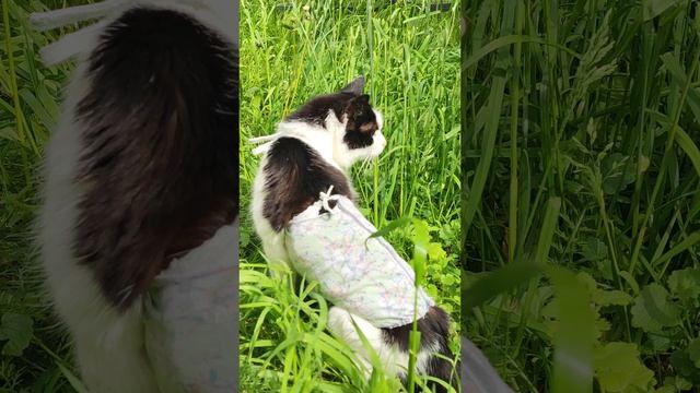 Масенька гуляет. Боремся вместе с нашей девочкой ❤🙏
