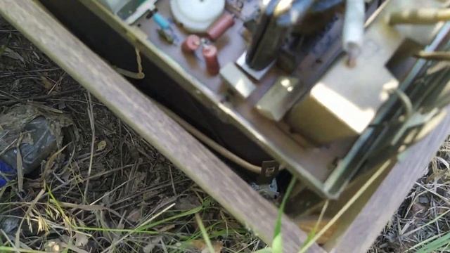 НАХОДКА В ПРИДОРОЖНОЙ ЛЕСОПОЛОСЕ ТЕЛЕВИЗОР ТАУРАС ТЦ-