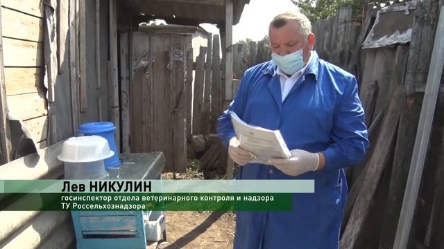 Проверка КРС  на бруцеллёз