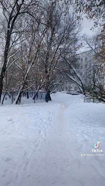Двор той зимой