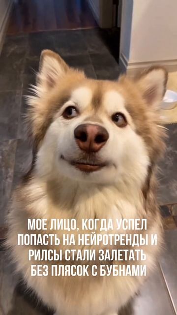 ПОДПИСЫВАЙСЯ НА КАНАЛ➡️@content_smm
⠀