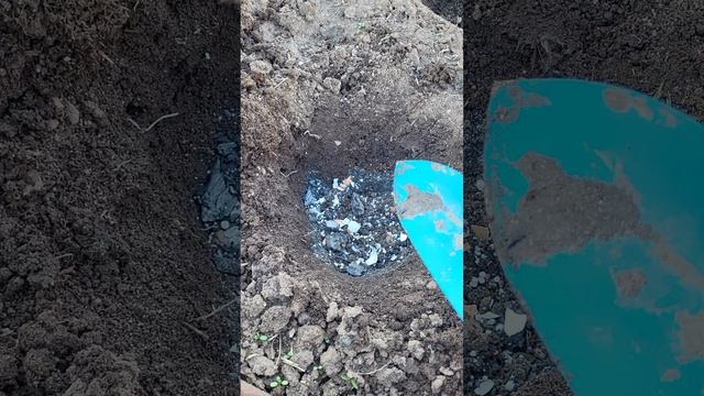 Не высаживайте капусту пока не посмотрите это видео!
