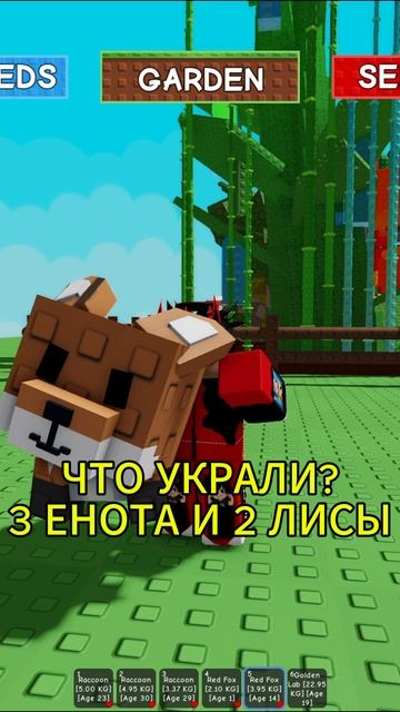 ЧТО УКРАЛИ ЕНОТЫ И ЛИСЫ В GROW A GARDEN ЗА 24 ЧАСА?