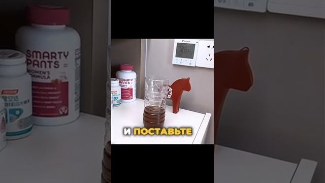 1000084175.mp4
