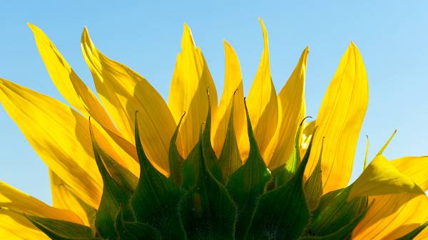 Лето — время перемен (Ирина Гасникова)