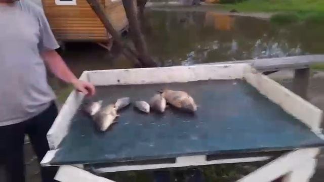 27.05.25 г. парк отдыха водопад